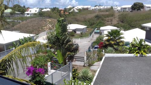 arial view of a yard with palm trees and houses at Bois patate location in Sainte-Anne