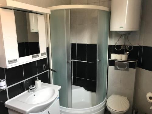 a bathroom with a shower and a toilet and a sink at Five Apartments in Inđija
