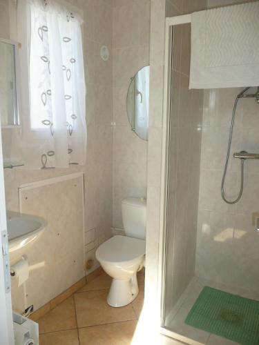 a bathroom with a toilet and a sink and a shower at 15mn de Cannes, Villa la Soleiade , Gite ,Lodge , type T2, clim, piscine, parking au Lac de Saint-Cassien VAR in Montauroux