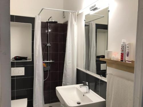 a bathroom with a sink and a shower at Maison Bernadette - Rez-de-chaussée in Vitry-sur-Seine