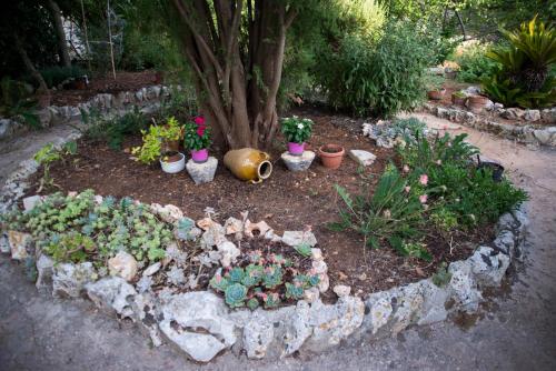 a garden with potted plants and a tree at Giardino Segreto in Putignano