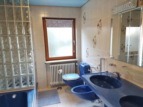 a bathroom with a blue toilet and a sink at Haus Bella in Löffingen