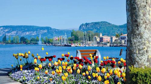 un lit fleuri de tulipes en face d'un lac dans l'établissement Cabà Holiday Bardolino D'Annunzio, à Bardolino