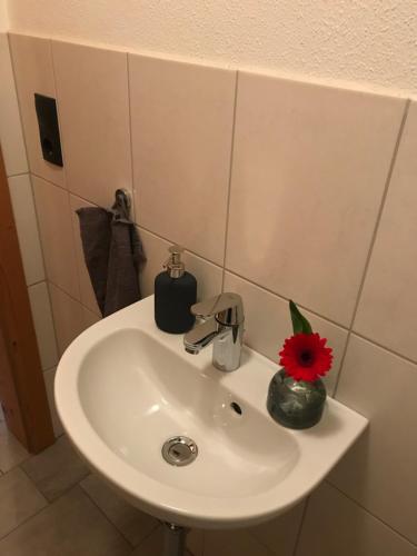 a bathroom sink with a red flower in a vase on it at Ferienwohnung Gruber-Hansen in Kaltenbach