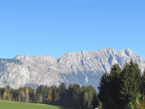 a mountain range with a green field and trees at Landhotel Häuserl im Wald in Gröbming