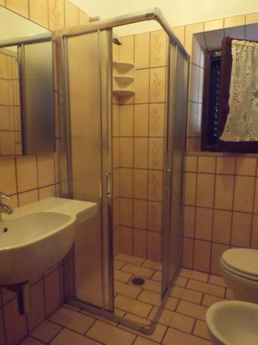 a bathroom with a shower and a sink and a toilet at Appartamento Il Girasole in Pomonte