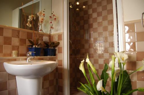 łazienka z umywalką i prysznicem z doniczkami w obiekcie Bogamarì w mieście Alghero