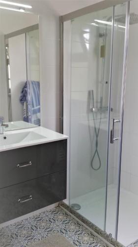 a bathroom with a shower and a sink and a mirror at Bastide Philomen in Pérols