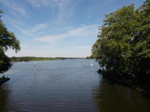 a view of a lake with trees and water at Ferienhaus am Langen See II in Heidesee