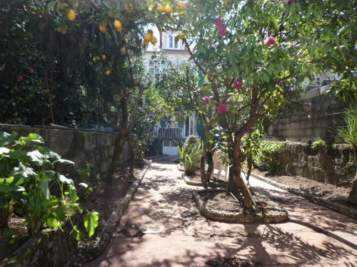 a garden with orange trees in a yard at Casa Familiar do Porto in Porto