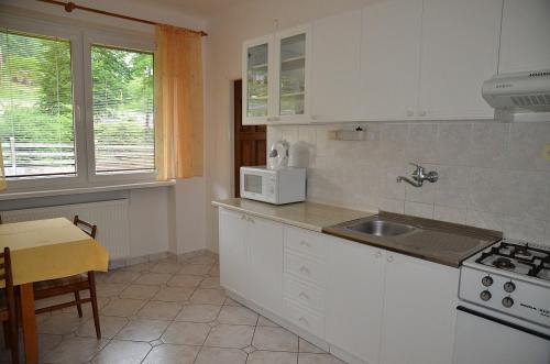 A kitchen or kitchenette at ubytovanie Vážka