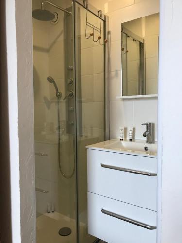 une salle de bain avec douche et lavabo dans l'établissement Residence port la galere, à Théoule-sur-Mer