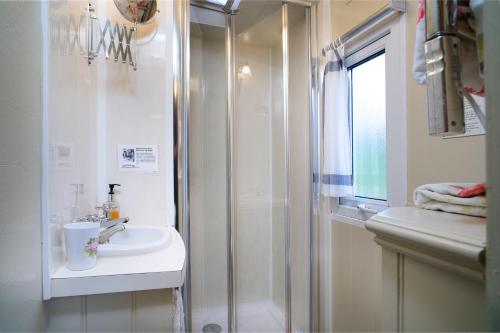 a white bathroom with a sink and a shower at The Glamavan in Llandysul