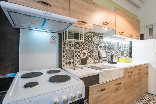 Kuchyň nebo kuchyňský kout v ubytování Athens Mini Suite