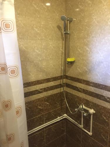 ein Badezimmer mit Dusche mit Glastür in der Unterkunft Anush`s B&B in Tatev