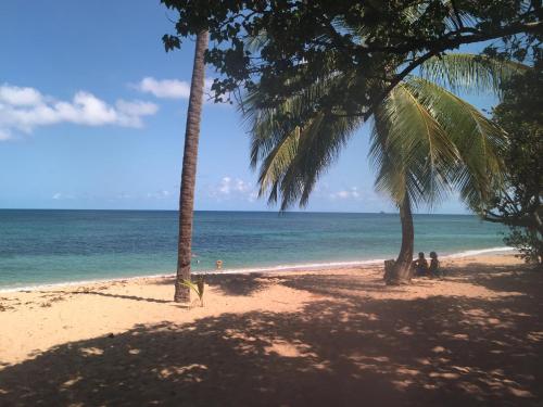 a beach with two palm trees and the ocean at Les bungalows de la plage in La Trinité