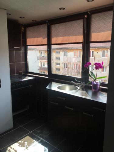 kuchnia ze zlewem i okno z wazą kwiatów w obiekcie Comfort Home Apartment 2 w mieście Petroszany
