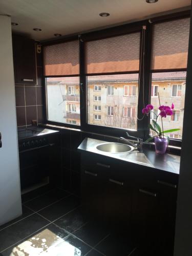 Gambar di galeri bagi Comfort Home Apartment 2 di Petroşani