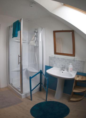 une salle de bain avec douche et lavabo dans l'établissement Gîte des Demoiselles, à Beauval