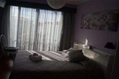 Casa Violeta
