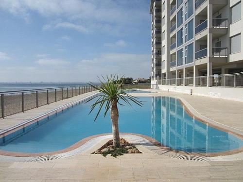 a palm tree sitting next to a large building at LA MANGA BEACH CLUB Bloque 1 in La Manga del Mar Menor