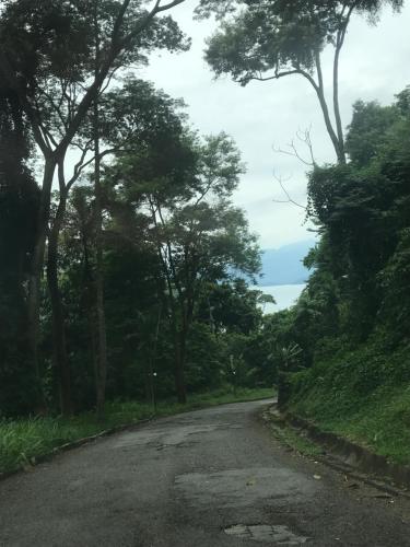 an empty road with trees on either side of it at Flat no Portogalo in Angra dos Reis