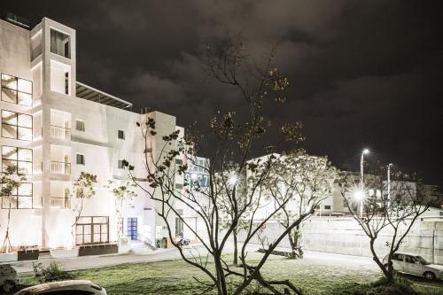 a tree in front of a building at night at Tiin Tinn - Rivershore B&B in Taitung City