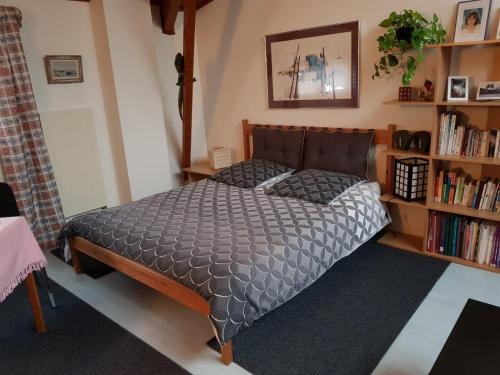 1 dormitorio con cama y estante para libros en Villa Le Rabailly en Mérenvielle