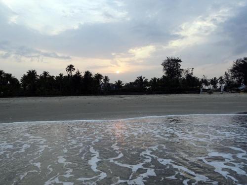 a view of a beach with trees and the water at Casale Majorda in Majorda