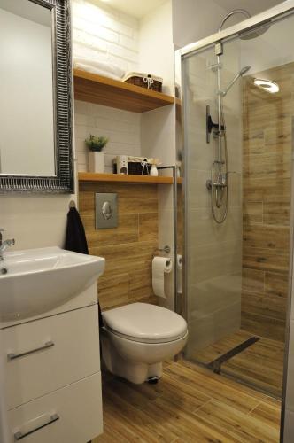 łazienka z prysznicem, toaletą i umywalką w obiekcie Apartament w lesie w mieście Lipnica
