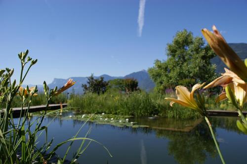 Paesaggio naturale nelle vicinanze dell'hotel