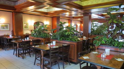 een restaurant met tafels, stoelen en planten bij Hotel Rebstock in Rust