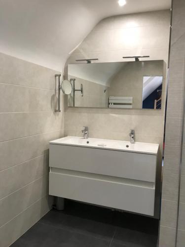 a bathroom with a white sink and a mirror at Appartement duplex, Tours centre in Tours