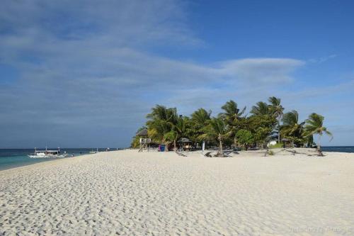 a sandy beach with palm trees and the ocean at Palompon lodge in Palompon