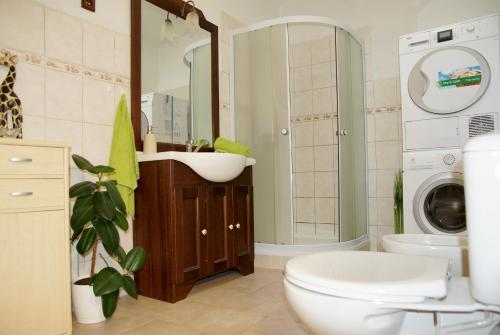 a bathroom with a sink and a toilet and a washing machine at Hostel Humpolec in Humpolec