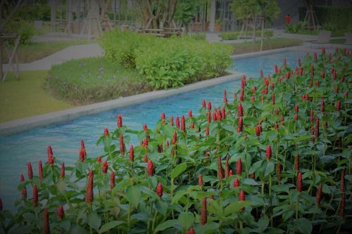Κήπος έξω από το Rain Condo Hua Hin - Cha Am by SN
