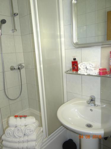 Koupelna v ubytování B&B Buzolic