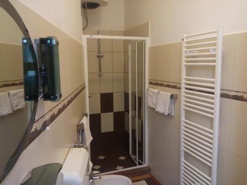 e bagno con doccia, servizi igienici e lavandino. di Villa Zajednica a Ičići
