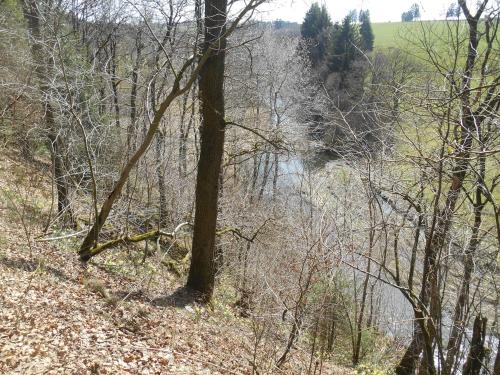 a river in the middle of a forest with trees at B&B Haus Jola in Nidrum