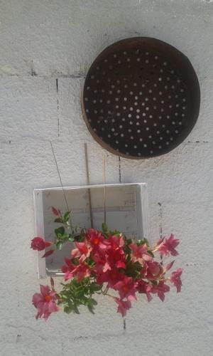 a lightswitch with flowers attached to a wall at Trullo Le Tre Sorelle in Cisternino