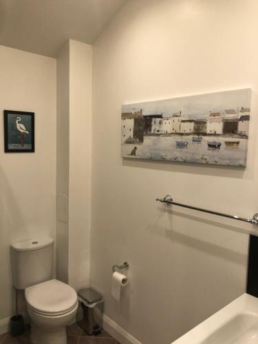 baño con aseo y una foto en la pared en The Wee Lodge en Inverness