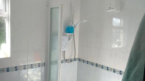 a shower with a glass door in a bathroom at Cosy Lakeside Cottage John's hollow in Headford