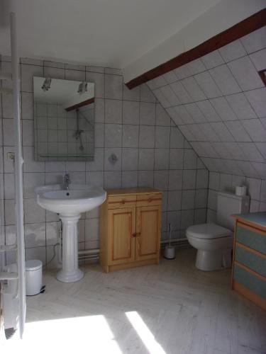 a bathroom with a sink and a toilet at Gîte à la campagne in Cressonsacq