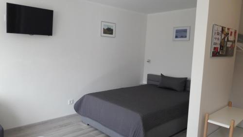 a bedroom with a bed and a flat screen tv at Anykščiai Center Apartment in Anykščiai