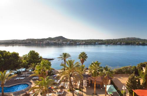 a view of a large body of water with palm trees at TRH Jardín Del Mar in Santa Ponsa