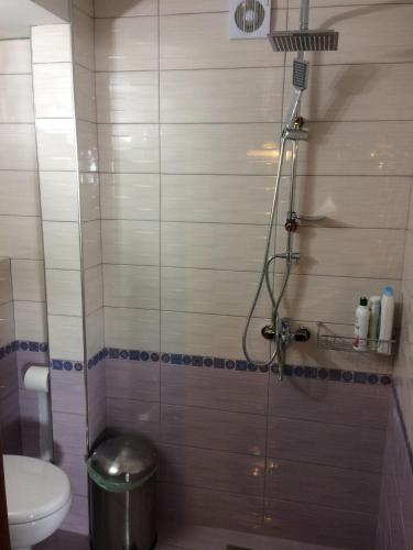 a bathroom with a shower with a toilet and a sink at Front Beach House in Skala Kallirakhis