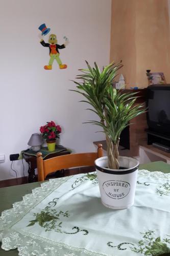 a potted plant sitting on top of a table at Agriturismo Villino del Grillo in San Gimignano