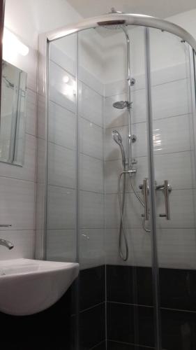 a shower with a glass door next to a sink at Penzion Staré Louny in Louny