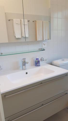 La salle de bains blanche est pourvue d'un lavabo et de toilettes. dans l'établissement Villa Violetta - Bellavista, à Castagnola