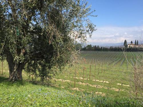 Tenuta La Cà – Photos 3